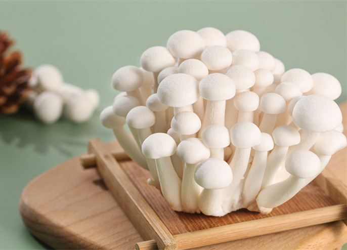 White Beech Mushroom