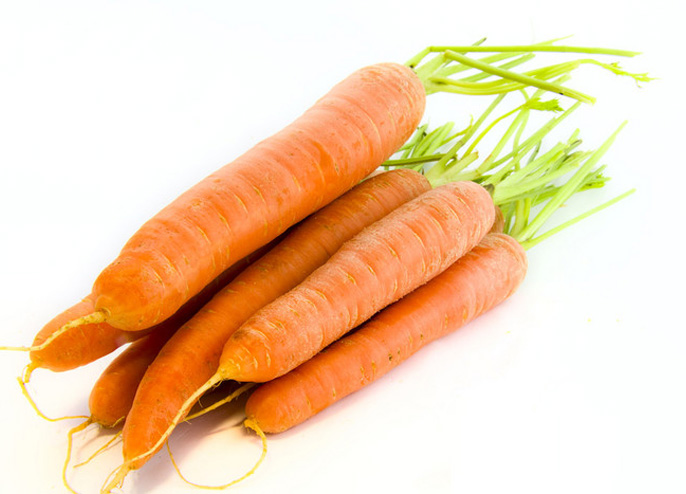 Carrot