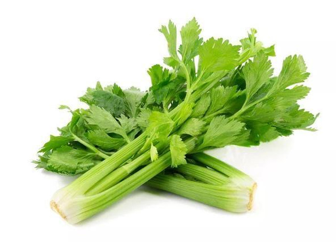 Celery