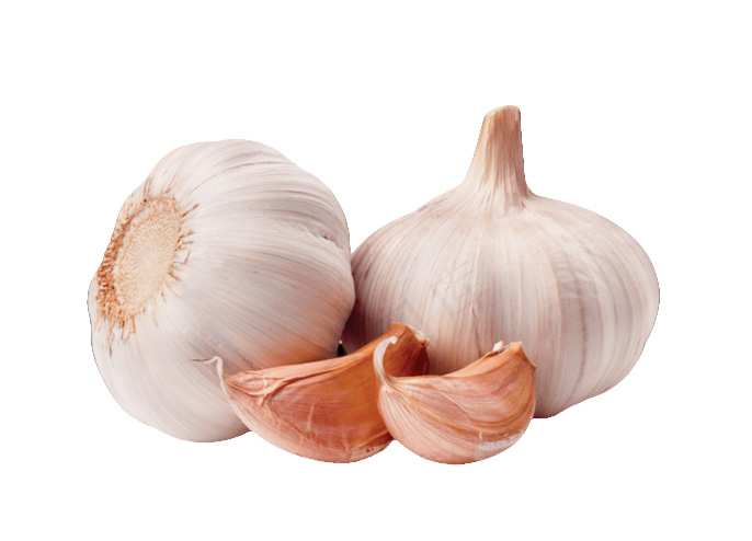 Normal White Garlic