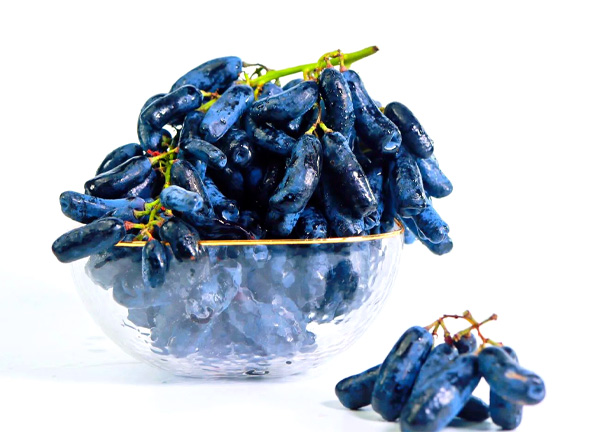 Sapphire Grapes